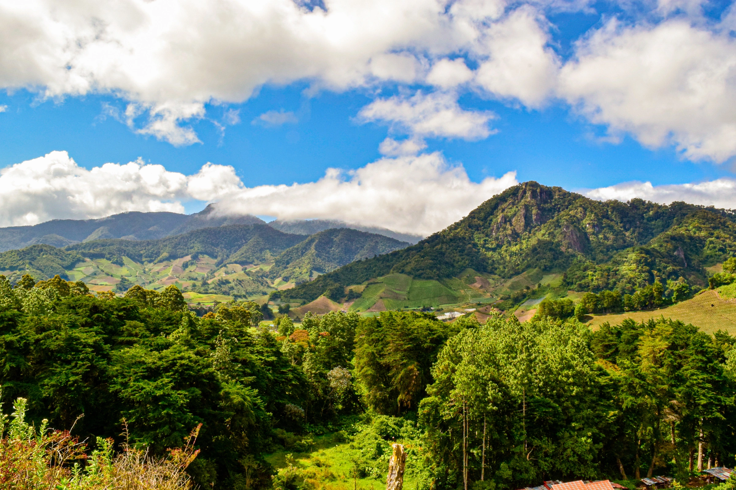 Punta_Patiño_Nature_Reserve[1].webp